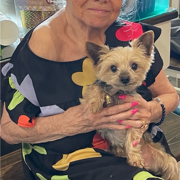 Betsey Johnson all over rhinestones sneakers! Animal print! Great for any look! - Picture 2 of 5